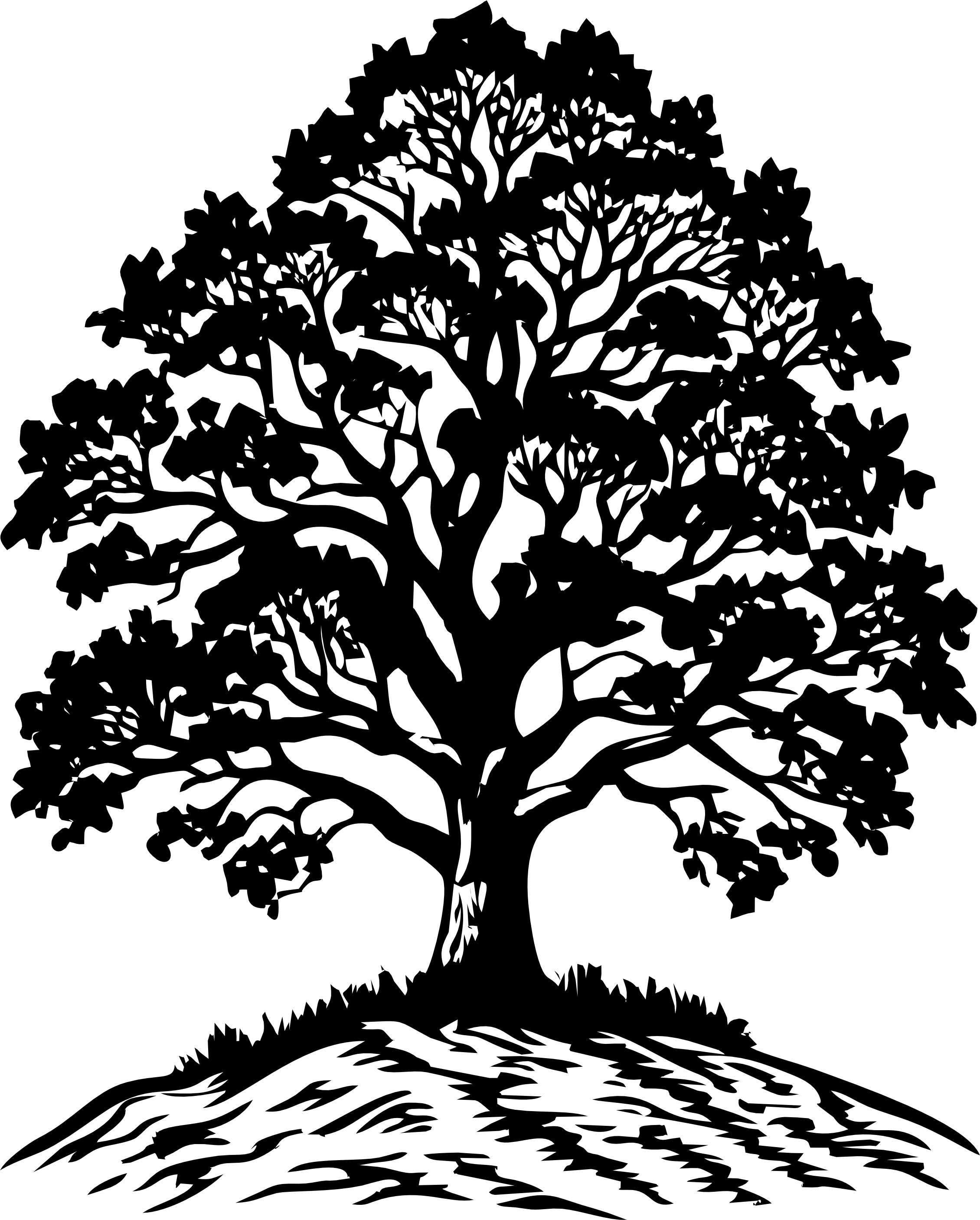 WoodClass logo copac